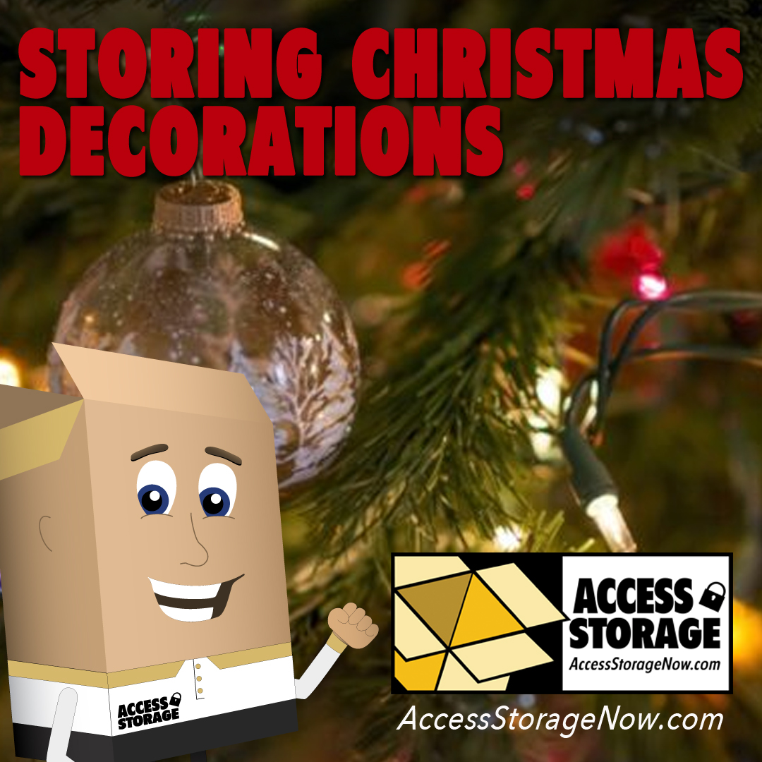 Choosing Storage Units with Access Storage to help you organize and store your Christmas decorations. 